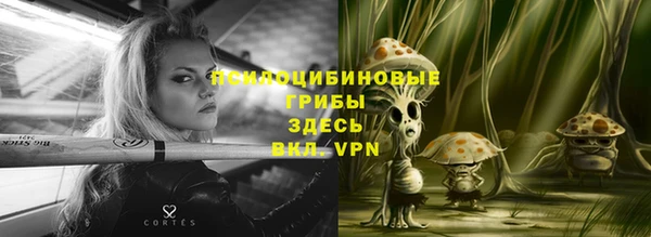 бошки Ветлуга