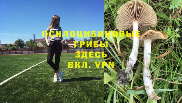 меф Осинники