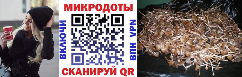 Галлюциногенные грибы Psilocybine cubensis Котово
