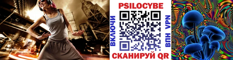 Псилоцибиновые грибы Psilocybine cubensis  Котово 