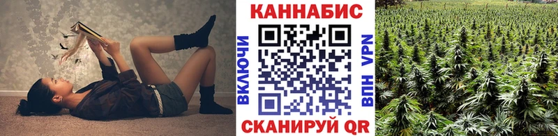 Канабис Bruce Banner  купить наркотик  Котово 